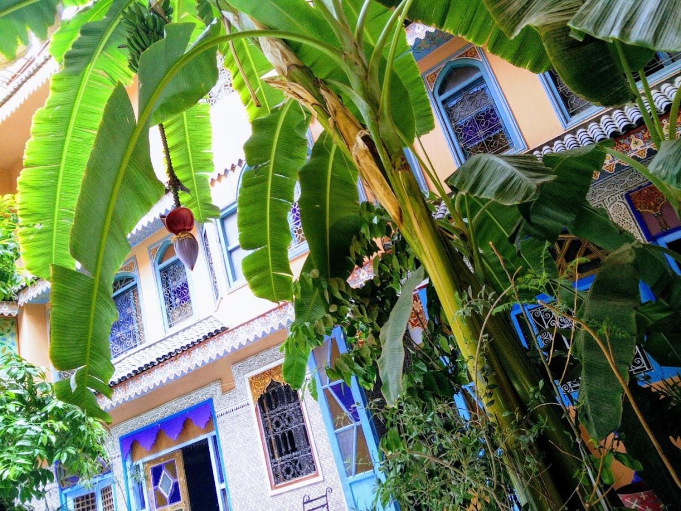 מרקש Riad Carole - Perfect For Families & Groups מראה חיצוני תמונה