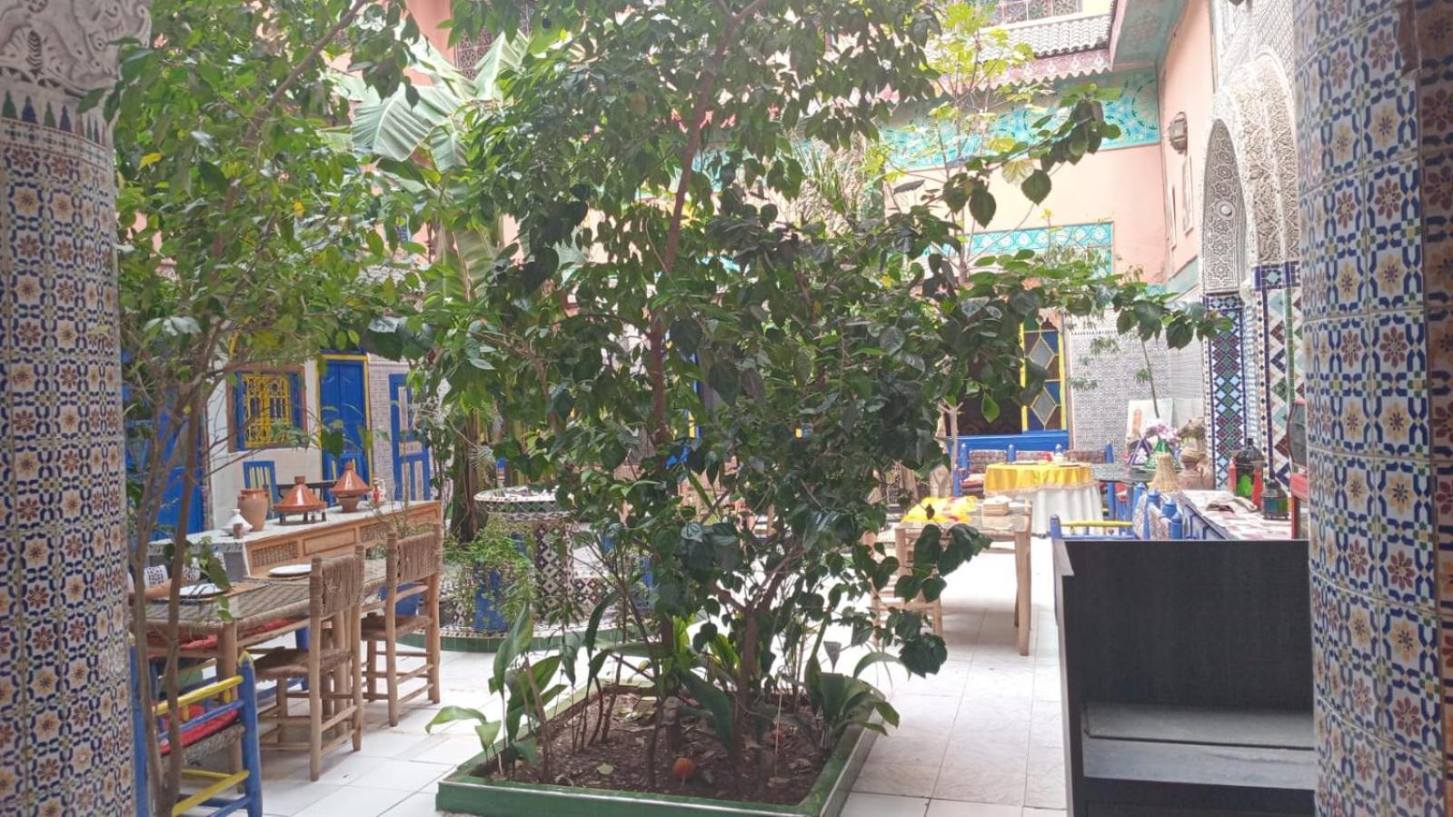 מרקש Riad Carole - Perfect For Families & Groups מראה חיצוני תמונה